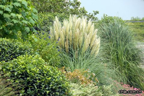 �Ͼ��G���@