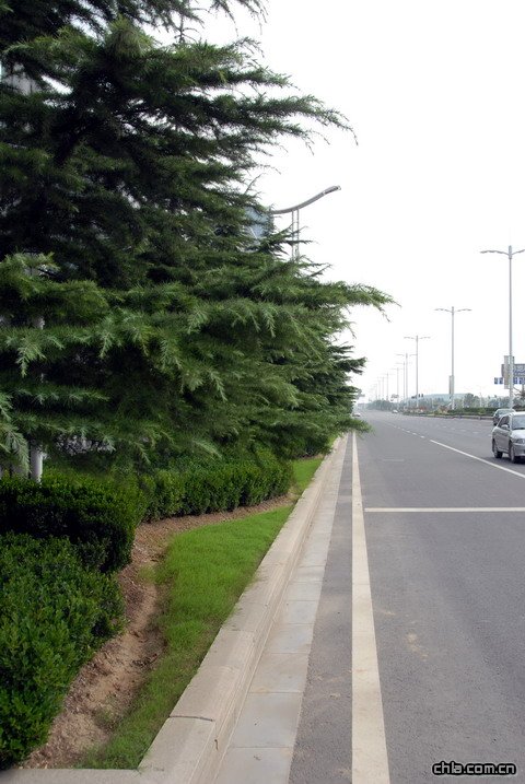 �Ͼ��ĵ�·�G��