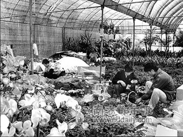 ʮ�󻨻ܮa�^֮һ�ďV�|