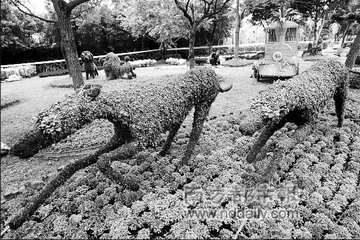 ��ľ�������쵽�@ˇ��,�丽��ֵ����