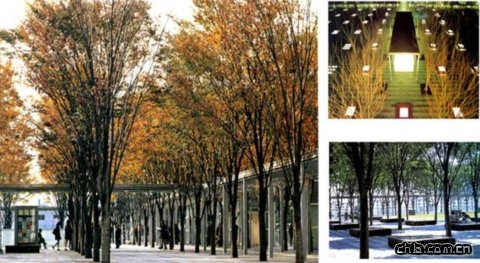 �������e�V���OӋ�D