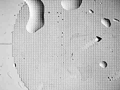 ���о��ˆT�Ƴ������׿á��ϳɘ䡱