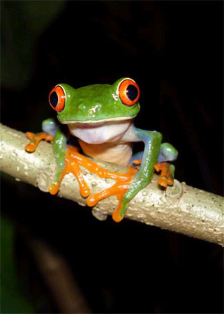 ��˹�_��Ӱl�F�������Ҋ�Ę���