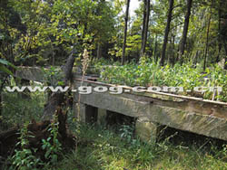 ȫ�����������F��N�@����