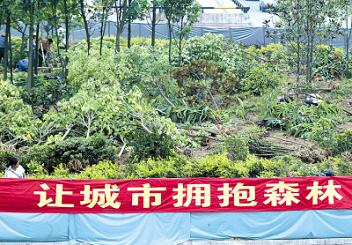 �ؑc��������ÿ��ֲ3-5��� ��t�U�G���M