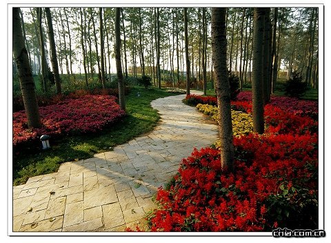 �����@���@�ֹ������޹�˾