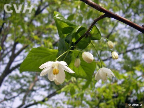 ���N��(sh��)