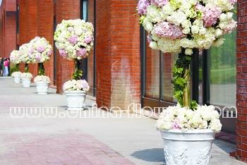 ��ˇ����ѩ֮��Ʒ