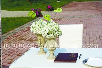 ��ˇ����ѩ֮��Ʒ