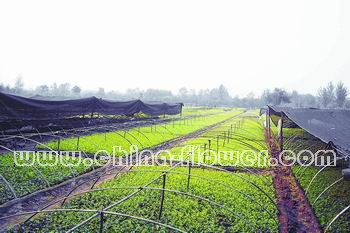 �D�鱱������Ļ���ľ�N�����a����