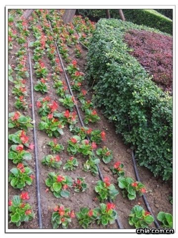 �@�ֹ�ȼ��g(sh��)