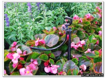 �@�ֹ�ȼ��g(sh��)