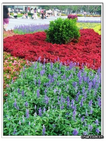 �W�\(y��n)�G��