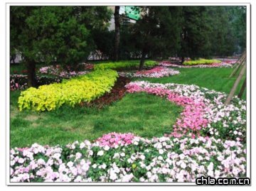 ���a֮�µĻ���