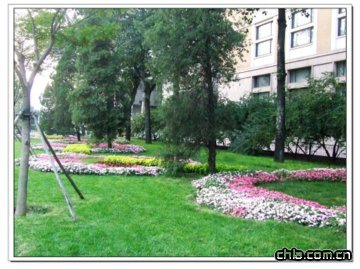 ���a֮�µĻ���