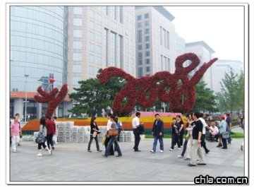 �|��·�ڵĻ���СƷ