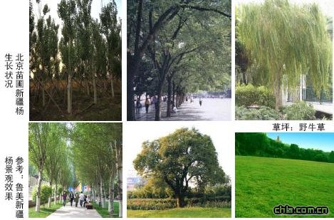 �B�����^�O(sh��)Ӌ-���{(di��o)��N