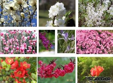 �B�����^�O(sh��)Ӌ-�c�Y�Nֲ