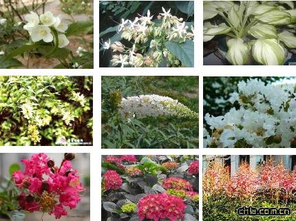 �B�����^�O(sh��)Ӌ-�c�Y�Nֲ