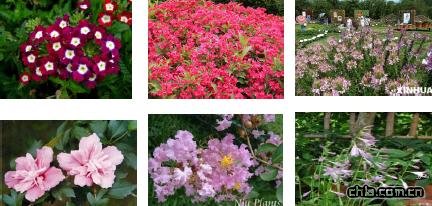 �B�����^�O(sh��)Ӌ-�c�Y�Nֲ