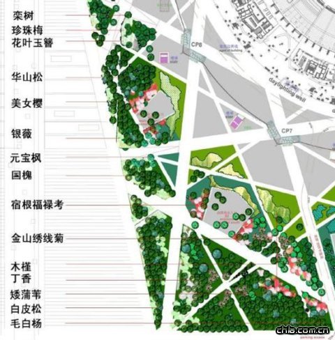 �B�����^�OӋ-�����^�����