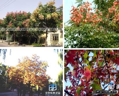 �B�����^�OӋ-�c�Y�Nֲ