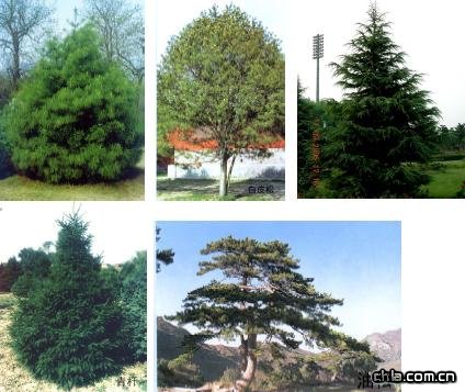 �B�����^�OӋ-�c�Y�Nֲ