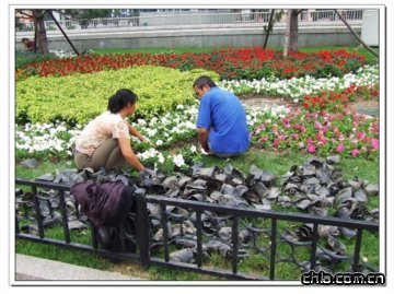 �@�ֹ��������ڸ��Q�ݻ�