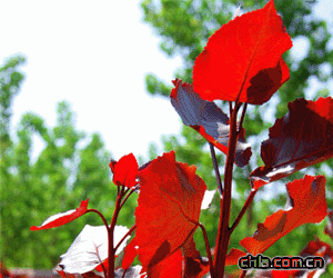 ���A�t�~��