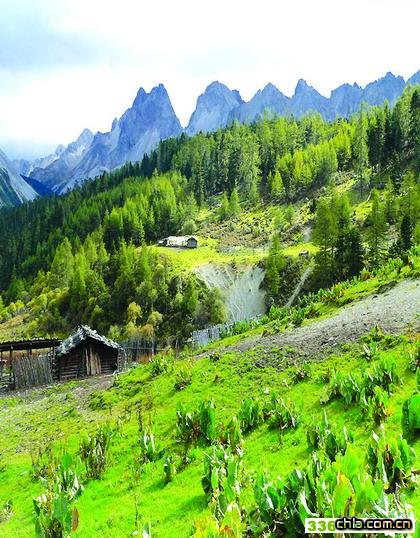 ���_(d��)����ҹ��@