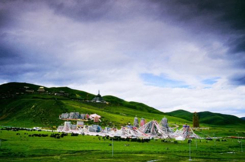 ���ر�����Ӱ