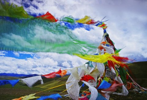 ���ر�����Ӱ