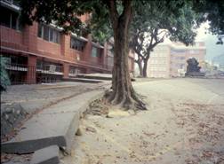 ��ľ֧�εرP      �zӰ����С�U