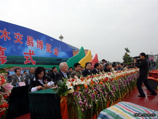 �ڰˌ���ԭ��ľ���ײ��[���_Ļʽ�F(xi��n)��