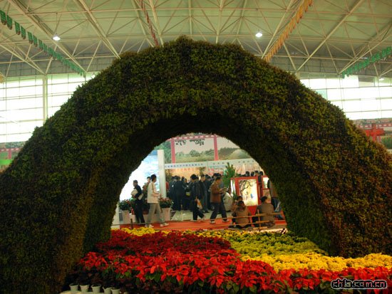 �ڰˌ���ԭ��ľ���ײ��[���҃�(n��i)չ�^(q��)