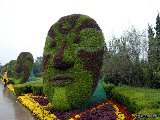 �ڰˌ���ԭ��ľ���ײ��[���ȵġ��GɫĘ�V��