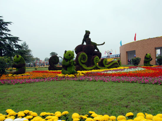 ���w����