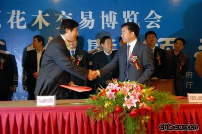 �܏V���c��Ñ�B��ͬ��ӆ��ľ���ב�(zh��n)�Ժ����f(xi��)�h