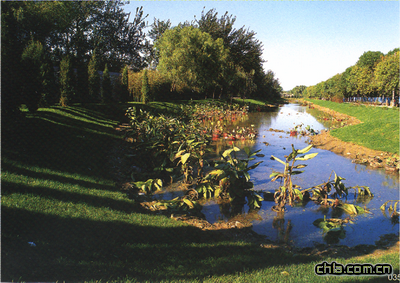 �U�͈@�ɻ���