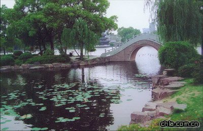 �����º�