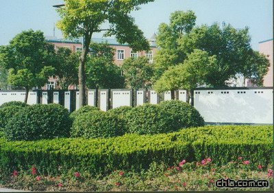 �Ϻ��֖|���o�������