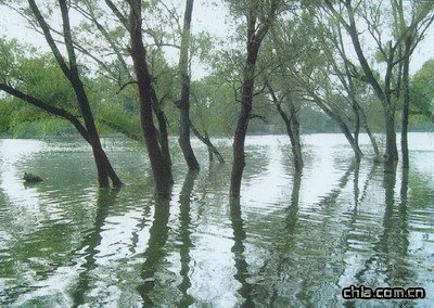 �����ӝ�ع��@