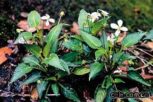 �V������