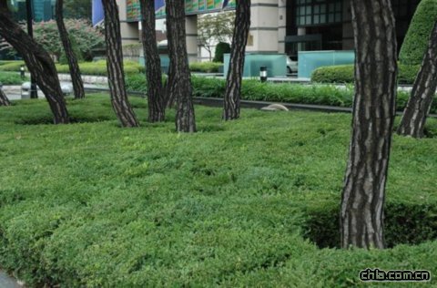 �p�������U��������ֲ�������޼���ģʽ