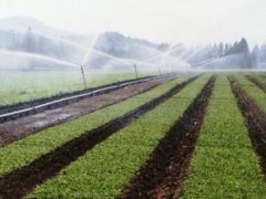 ͻ����ľ�a(ch��n)�I(y��)�l(f��)չƿ�i ��ه��(bi��o)��(zh��n)�����a(ch��n)�wϵ����