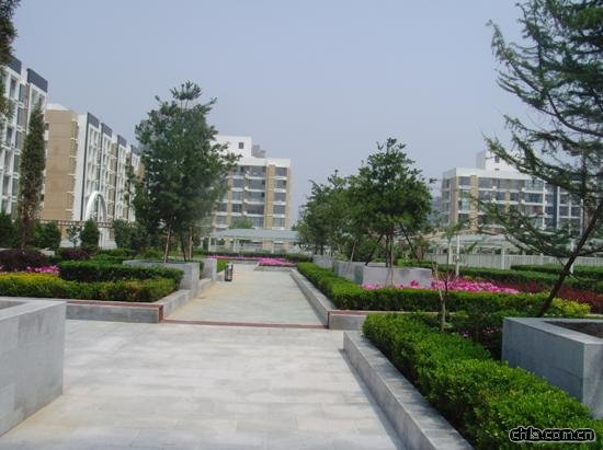 ����ͨ�ݼ҈@C7C8̖(h��o)��픻��@�h(hu��n)�����^����