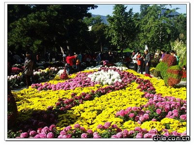 ����ֲ��@�ջ�չ���ʼ���