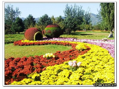 ����ֲ��@�ջ�չ���ʼ���