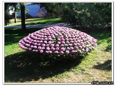 ����ֲ��@�ջ�չ���ʼ���