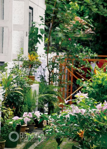 ˽�һ��@���C������Ҫ��(�M�D)